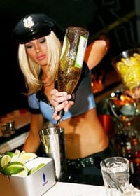| Hot Party Stripper Hot Bartender Theme Parties