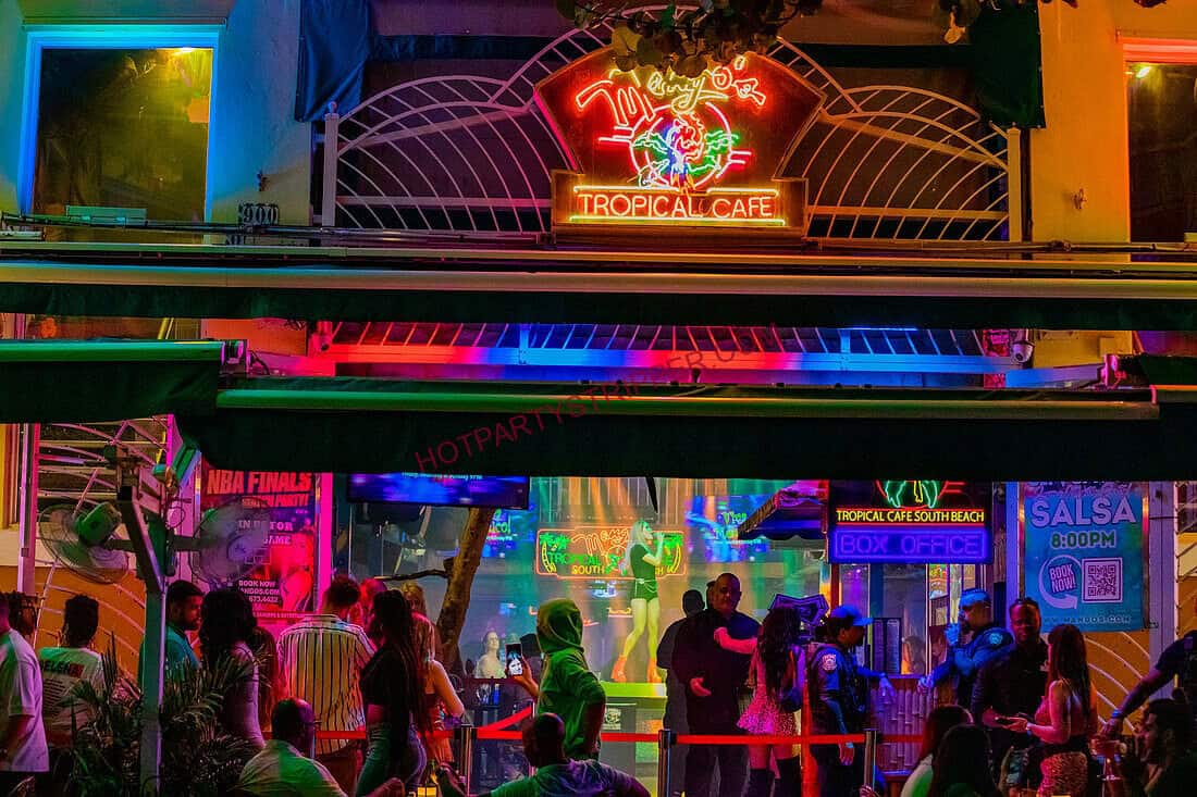 miamimangosonbeach | Hot Party Stripper