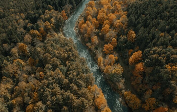 An aerial view of a river in the woods.