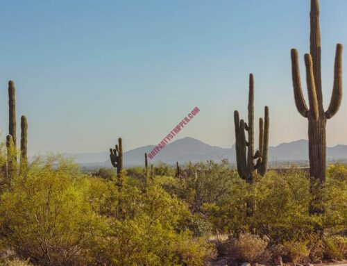 June Scottsdale Activities