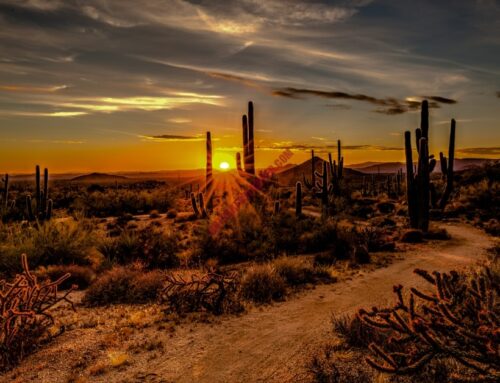 Scottsdale Attraction Insights