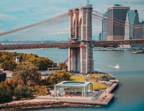 Brooklyn Nightlife Guide