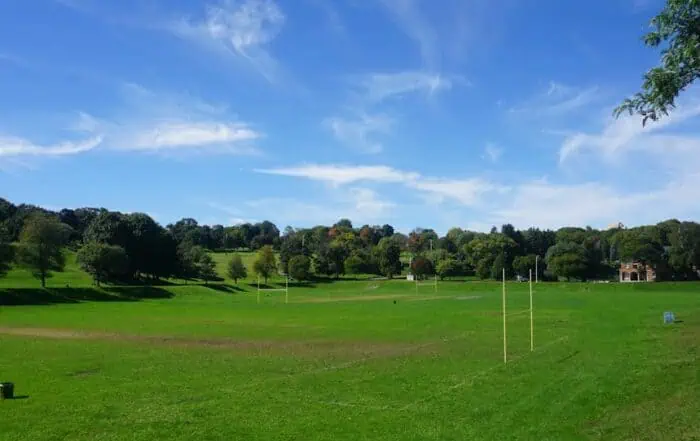 featured-image-1750597269 | Hot Party Stripper A grassy field with a soccer field and trees.