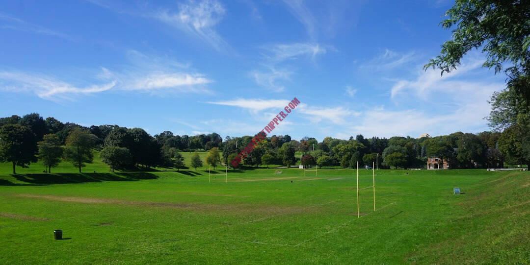 A grassy field with a soccer field and trees.